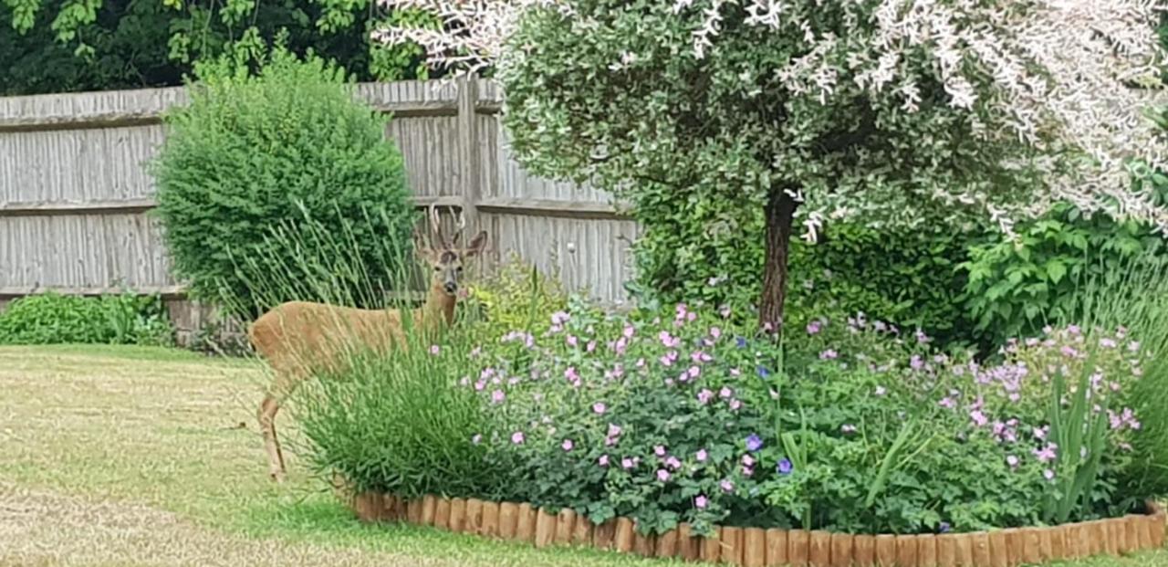 Ha'penny Acre Bed & Breakfast Sherfield English Bagian luar foto