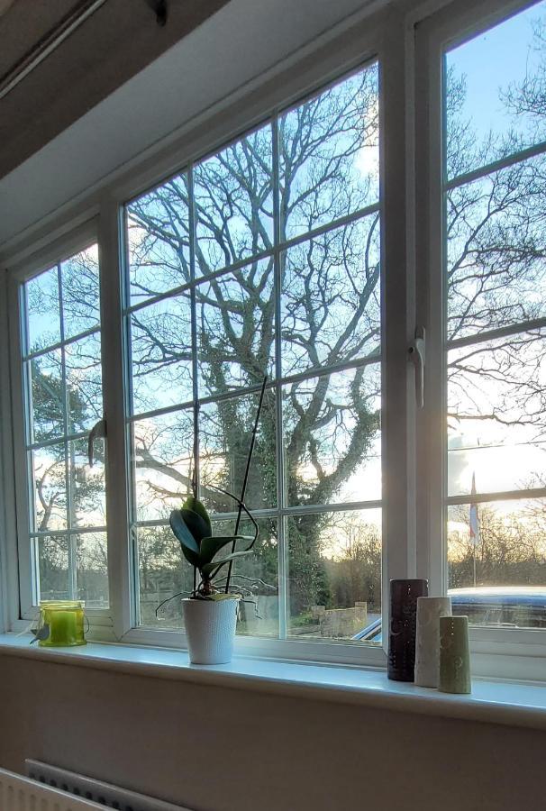 Ha'penny Acre Bed & Breakfast Sherfield English Bagian luar foto